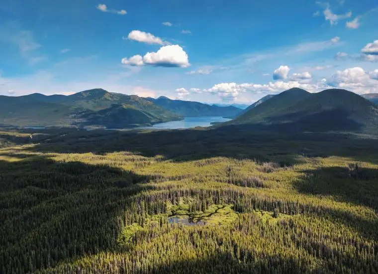 photo of spruce trees and lakes and mountains in british columbia canada